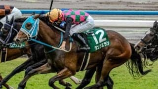 日曜阪神は雨予報 桜花賞は道悪巧者の重賞ウイナーに注目