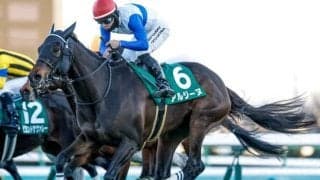 【阪神牝馬S予想】前走がローカル場所だった馬は苦戦傾向！ 中央場所でもコースによっては注意が必要