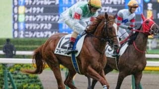 マイルCS覇者ナミュールの半妹 待望の初勝利なるか