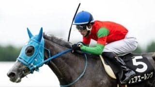 【福島牝馬S想定馬・騎手】フェアエールング、アリスヴェリテなど18頭