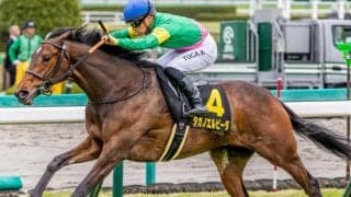 阪神芝は内有利か 内枠巧者のタガノエルピーダを狙い撃ち