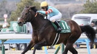 【アンタレスS想定馬・騎手】ヤマニンウルス、ミッキーファイトなど11頭