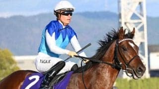 【今日の注目ポイント】中山でニュージーランドTと阪神で阪神牝馬S