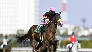 【阪神牝馬S予想】ヴィクトリアMへの最重要ステップ 春のマイル女王に向け名乗り上げる馬は？