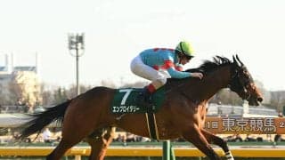 【競馬予想】桜花賞で注目すべき血統は？　牝系、種牡馬も珍しいほどレースに縁がある２頭に期待