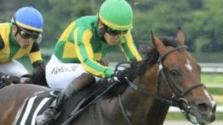 きょうだい3頭は2億超で取引 ディープインパクト産駒の良血馬が土曜阪神9Rに出走