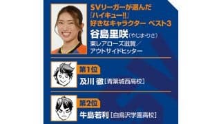 【ハイキュー‼×SVリーグ】東レアローズ滋賀の谷島里咲は高校の先輩・石川真佑とも違うエースへ「負けは弱さの証明ですか？」のセリフも胸に成長