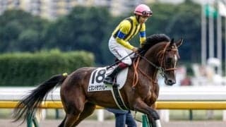 阪神芝は引き続き内＆前有利 阪神牝馬Sはビヨンドザヴァレー＆タガノエルピーダが狙い目だ