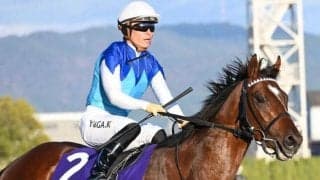 中山芝は内外フラット ニュージーランドTは地力勝負か