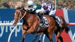 【クイーンエリザベスS結果】日本勢は着外 ヴィアシスティーナが完勝でG1・9勝目