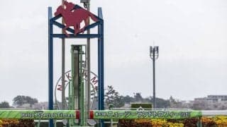 【ニュージーランドT】イミグラントソングが差し切る…アドマイヤズームは2着