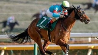 【桜花賞予想】チューリップ賞組と阪神JF組が中心!? 前走ステップレース快勝の人気馬に立ちはだかる消去法データとは
