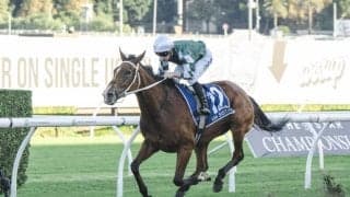 【クイーンエリザベスS】豪ヴィアシスティーナがG1・9勝目…ローシャムパークは6着