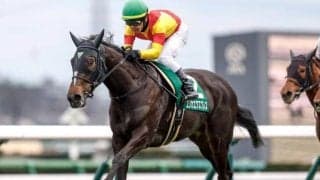 【桜花賞前日オッズ】エリカエクスプレスが3.3倍で1番人気