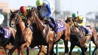 ロードカナロア産駒の良血馬が日曜阪神で初陣 “黄金タッグ”でデビューVなるか