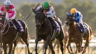 【桜花賞】アルマヴェローチェは5枠9番