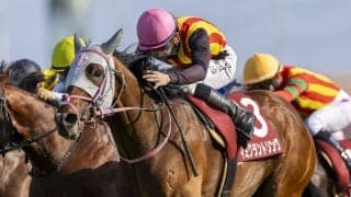 【ニュージーランドT】石川「中山のコース形態合う馬」イミグラントソングが重賞初制覇