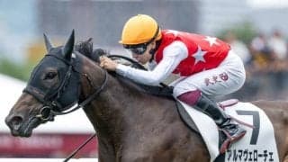 【今日の注目ポイント】牝馬三冠の開幕戦・桜花賞