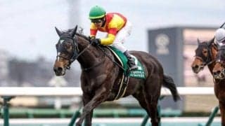 【桜花賞予想】狙うならば今年も2番人気？ 過去データで探るGI桜花賞