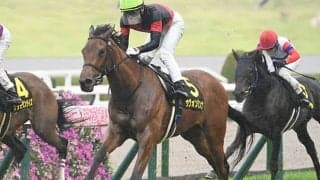 【忘れな草賞結果】サヴォンリンナが2番手から抜け出し2連勝