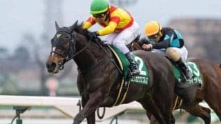 【桜花賞・馬体重】エリカエクスプレスは456kg(±0)、アルマヴェローチェは496kg(+12)