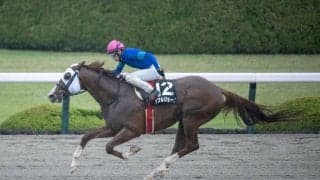 【天神橋特別】伏兵ダブルジョークが鮮やかに差しきる