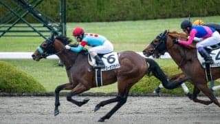 【阪神5R】ヘニーヒューズ産駒 アローオブライトの後方一気ハマる