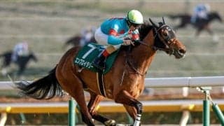 【桜花賞】エンブロイダリーが3連勝で戴冠！ J.モレイラ騎手は連覇 2歳女王アルマヴェローチェ2着