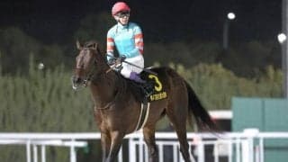 【アンタレスS】ヤマニンウルス、ミッキーファイトらが登録