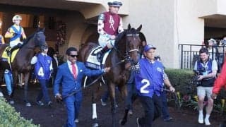 【海外競馬】米年度代表馬・ソーピードアンナが今年最初のG1勝利