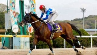 【佐賀がばいスプリント】ネオシエルが4馬身差完勝…石川倭「シンプルに競馬をしようと思った」