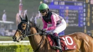 今村聖奈は重賞挑戦も12着…女性ジョッキー結果