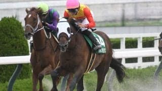 【アンタレスS見どころ】ハギノアレグリアスが4つ目の重賞タイトルを狙う