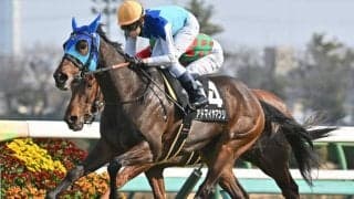 【福島牝馬S見どころ】堅実無比のアドマイヤマツリを狙う