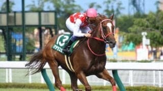 【25年の新種牡馬たち】昨年6月に急逝したマテラスカイ 残された3世代の中から活躍馬は現れるか