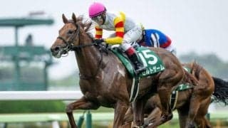 23年函館2歳S覇者ゼルトザームが9日付けで抹消 2歳時には芝・ダート双方で活躍