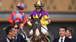 【大井・東京スプリント枠順】リヤドDSで3着のガビーズシスターは8枠15番