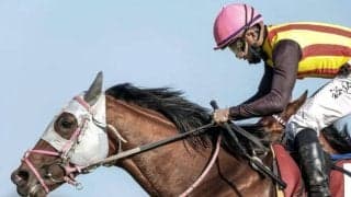 【ニュージーランドT】売上は38億157万5100円で昨年より約1400万円増加