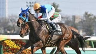 【福島牝馬S想定騎手】アドマイヤマツリは田辺裕信騎手、ホーエリートは原優介騎手