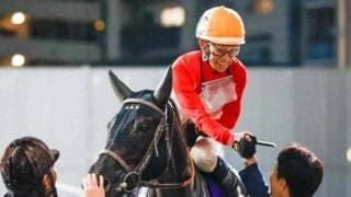 【先週のJRA抹消馬】牝馬ダート重賞3勝のアーテルアストレア、23年函館2歳S覇者ゼルトザームなど