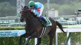 【アンタレスS想定騎手】ヤマニンウルスは武豊騎手、ミッキーファイトはC.ルメール騎手