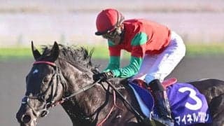 【中山GJ想定騎手】マイネルグロンは石神深一騎手、スマイルスルーは高田潤騎手