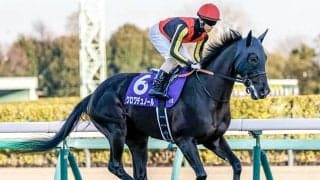 【皐月賞】過去10年の傾向とデータ分析 有利な脚質と枠順はある？