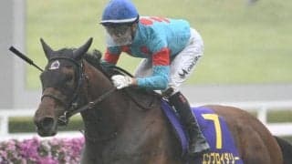アドマイヤマーズが新種牡馬でGI制覇一番乗り 産駒エンブロイダリーはオークスでも問題なし？