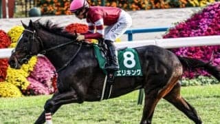「ウマ娘」藤田晋オーナーがJRA・GI初制覇なるか 皐月賞に無傷の3連勝馬で挑む