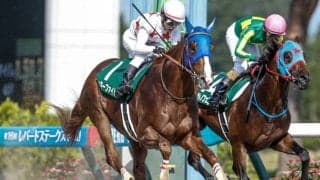 【アンタレスS展望】GI・GII組が優勢 好データ揃うミッキーファイトに注目