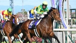 香港チャンピオンズデーの馬券発売が決定 JRAが発表