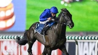 ドバイミレニアムの忘れ形見「ドバウィ」 血統表でよく見る名馬を深堀り