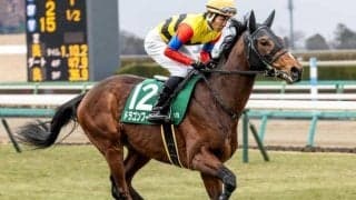 丹内祐次騎手が皐月賞初参戦 重賞2着2回のドラゴンブーストでGI初制覇を狙う