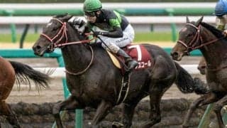 21年ぶりに1勝馬の皐月賞Vなるか 今年のエントリー馬を紹介
